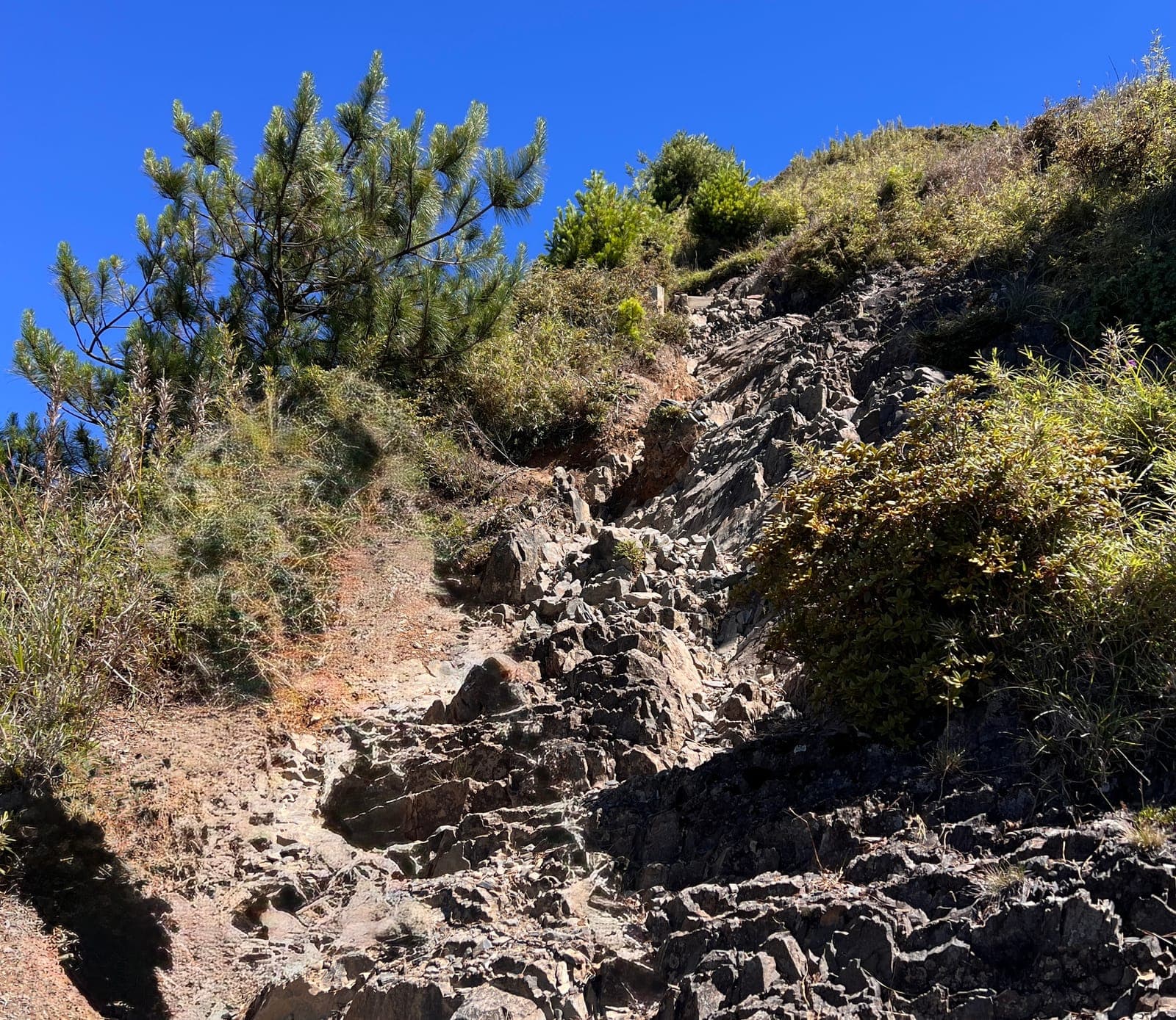 [登山技巧] 下坡容易腳滑怎麼辦?