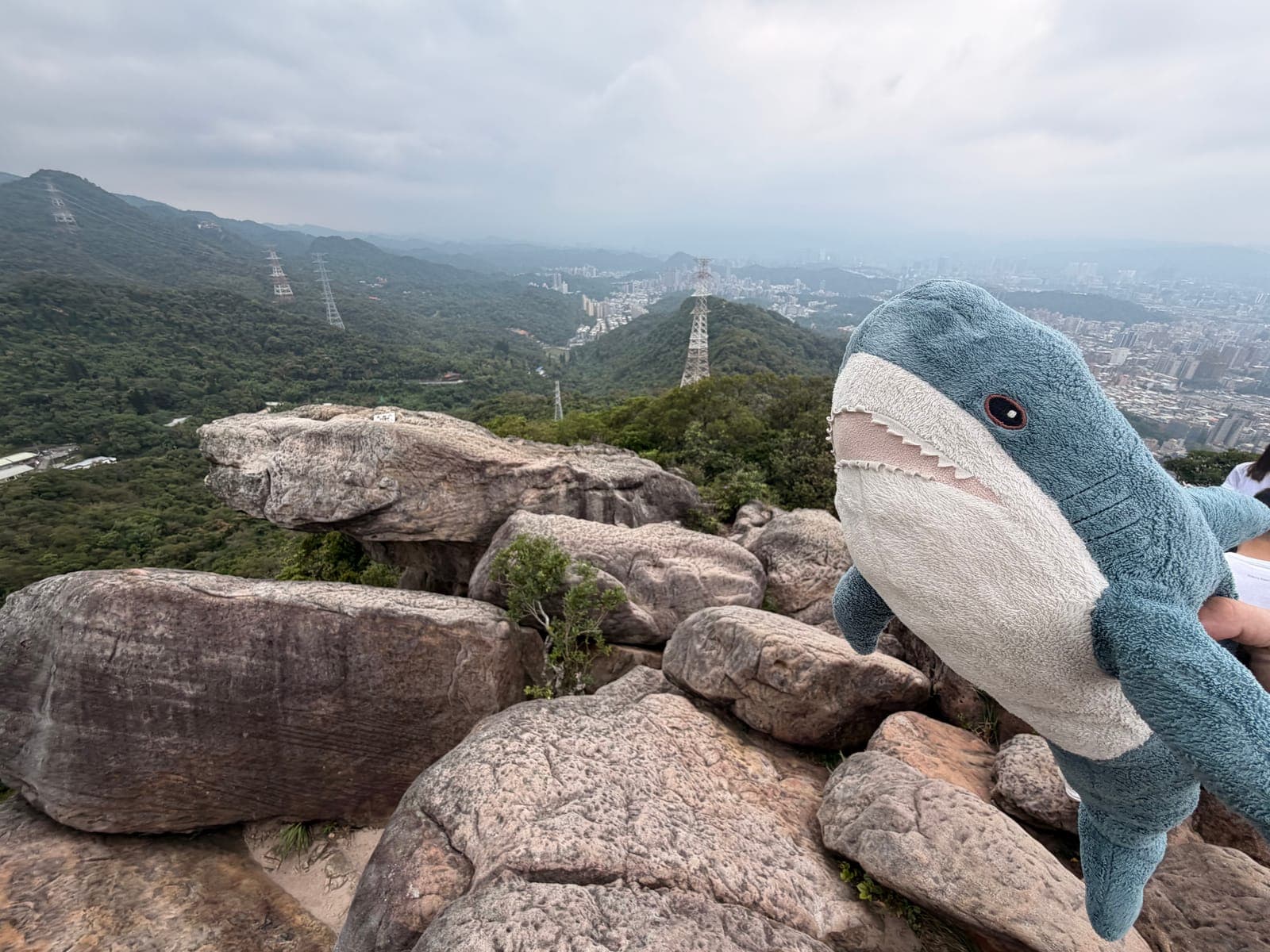 台北金面山/雙心縱走