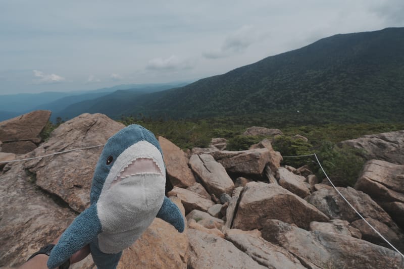 早池峰山