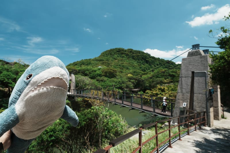 大武崙山