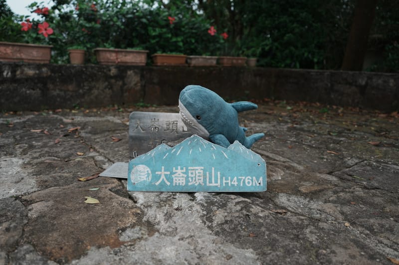 大崙頭山